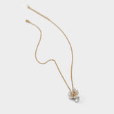 Alexianie Ice Women's Cubic Zirconia - Necklace | Aldo online