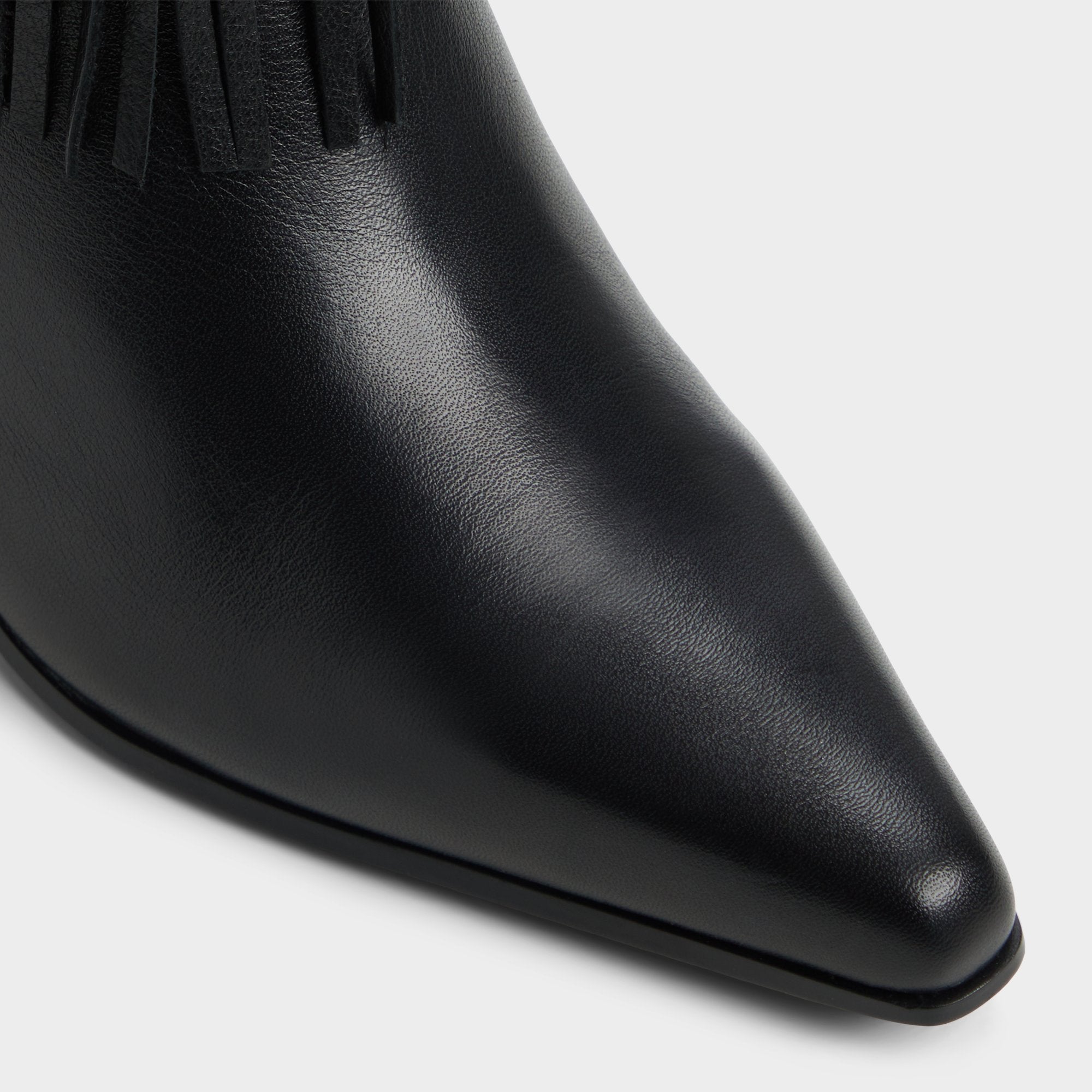 Jollene Black Women's Ankle boots - Ankle boot, Block heel | Aldo on sale