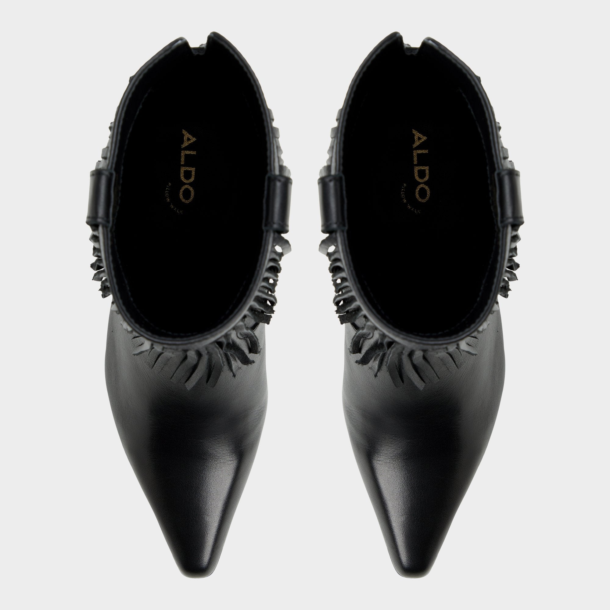 Jollene Black Women's Ankle boots - Ankle boot, Block heel | Aldo on sale