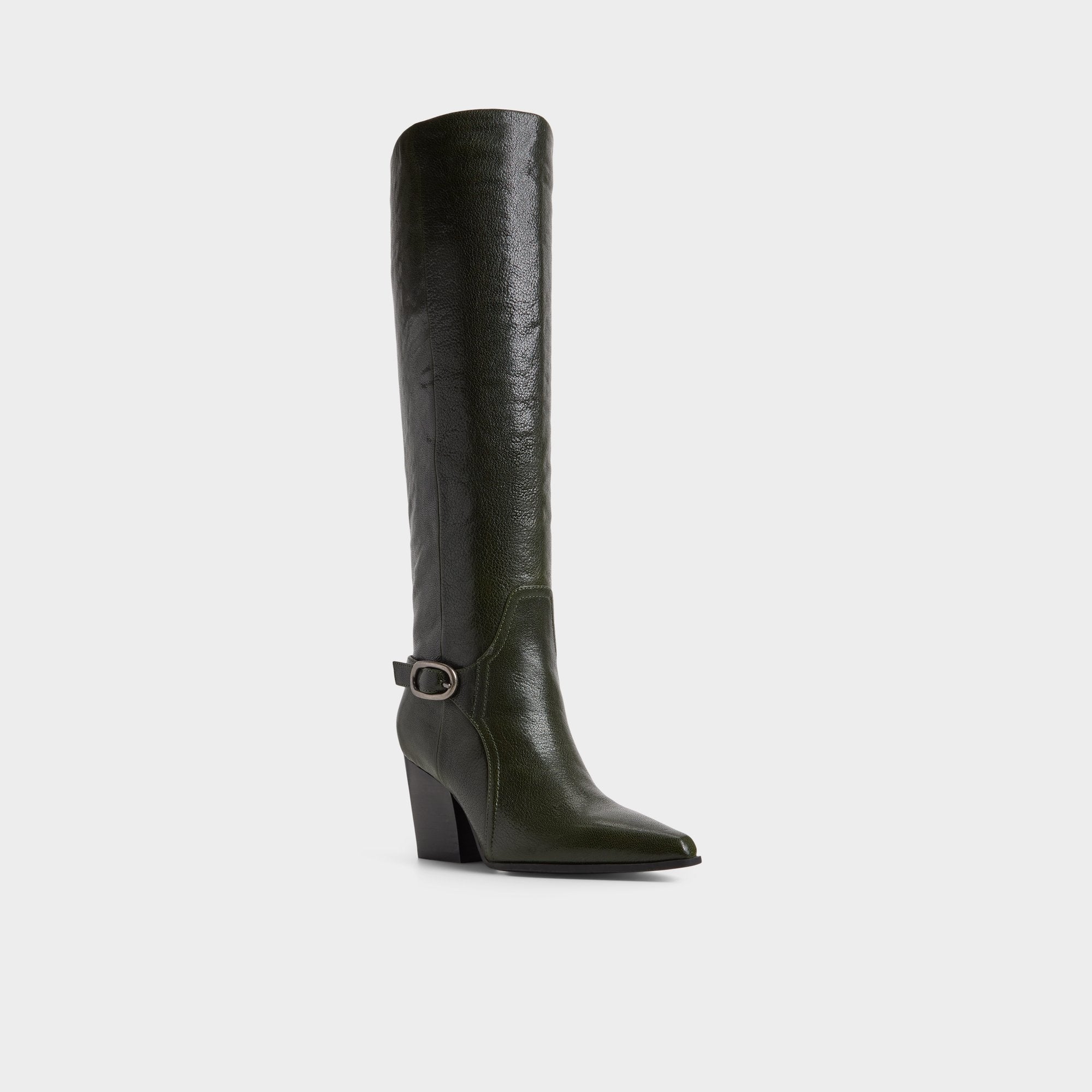 Saddle in Dark Green - Knee-high boot, Block heel | Aldo online