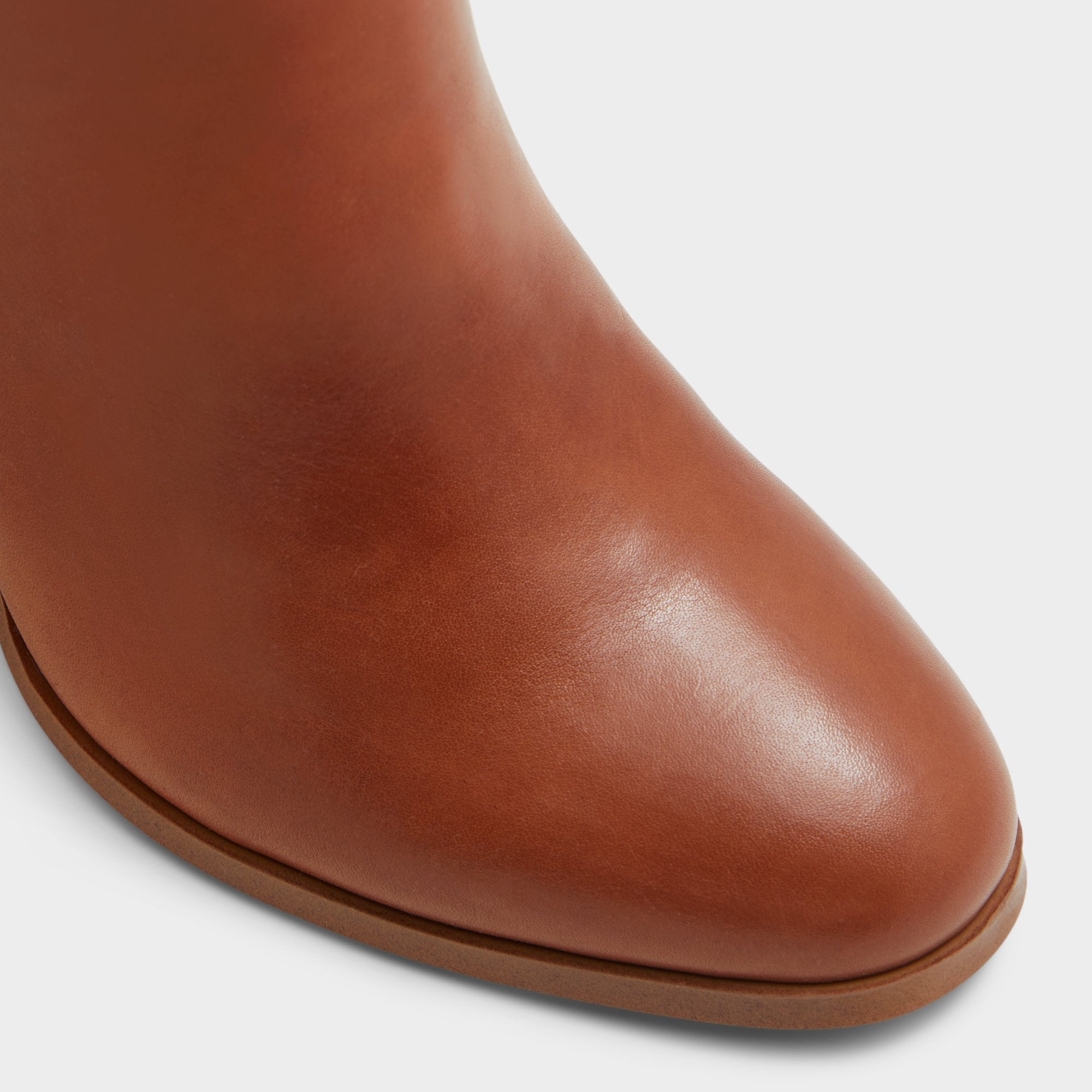 Belide Cognac Women's Tall Boots - Knee-high boot, Brown | Aldo online