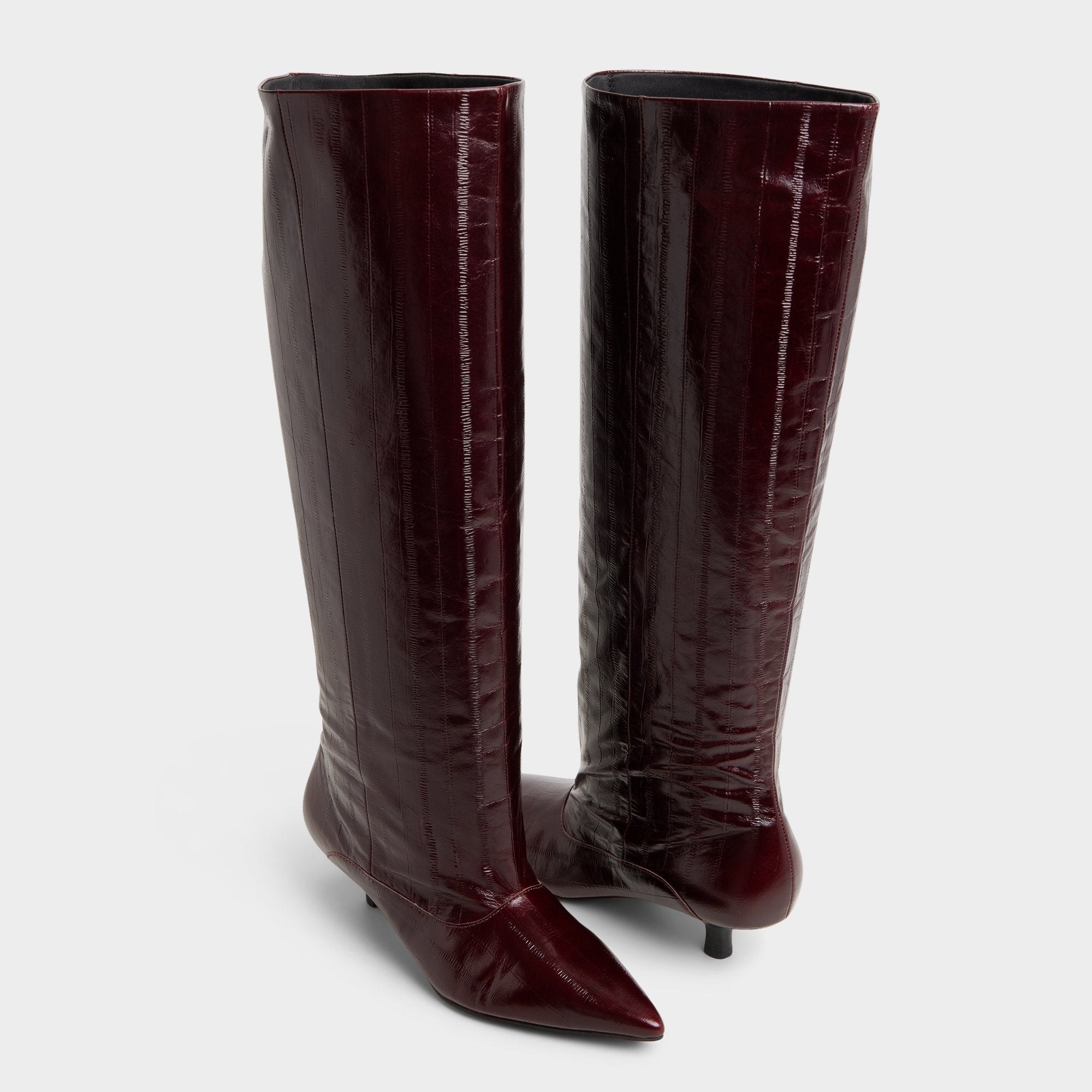 Everose in Bordo - Knee-high boot, Kitten heel | Aldo outlet
