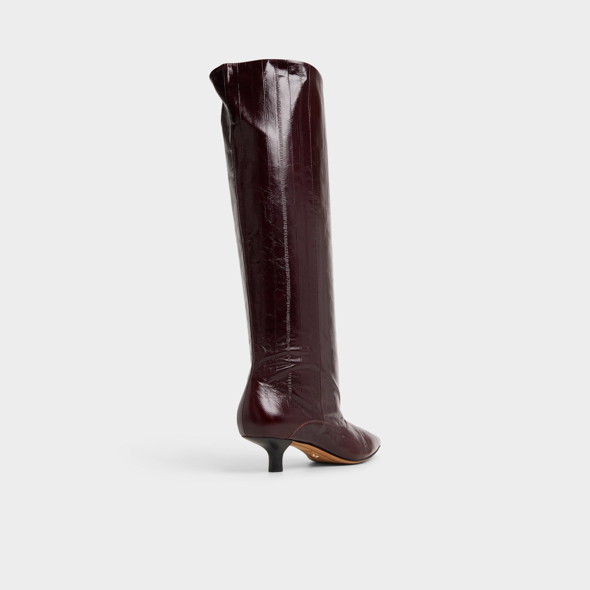 Everose in Bordo - Knee-high boot, Kitten heel | Aldo outlet