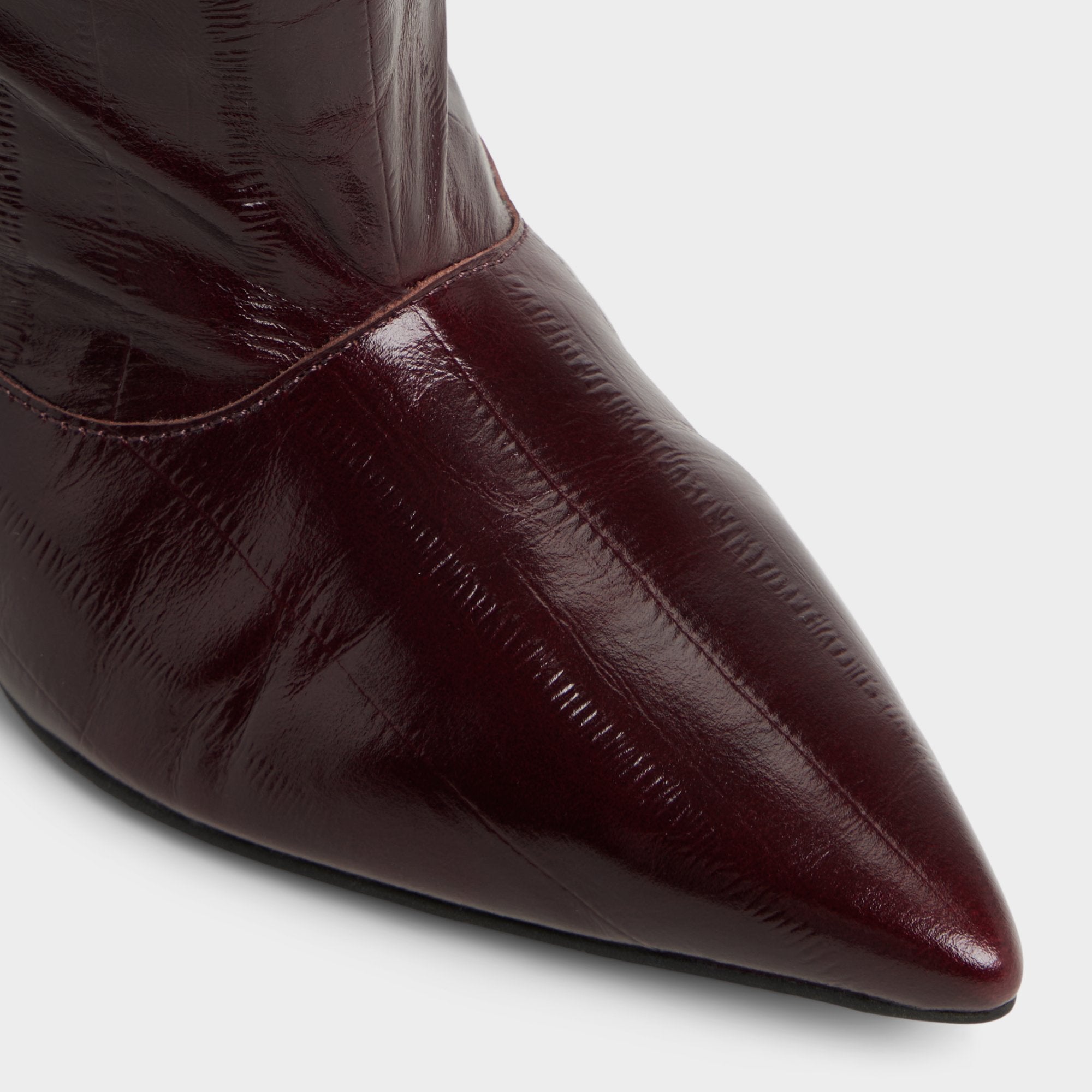 Everose in Bordo - Knee-high boot, Kitten heel | Aldo outlet