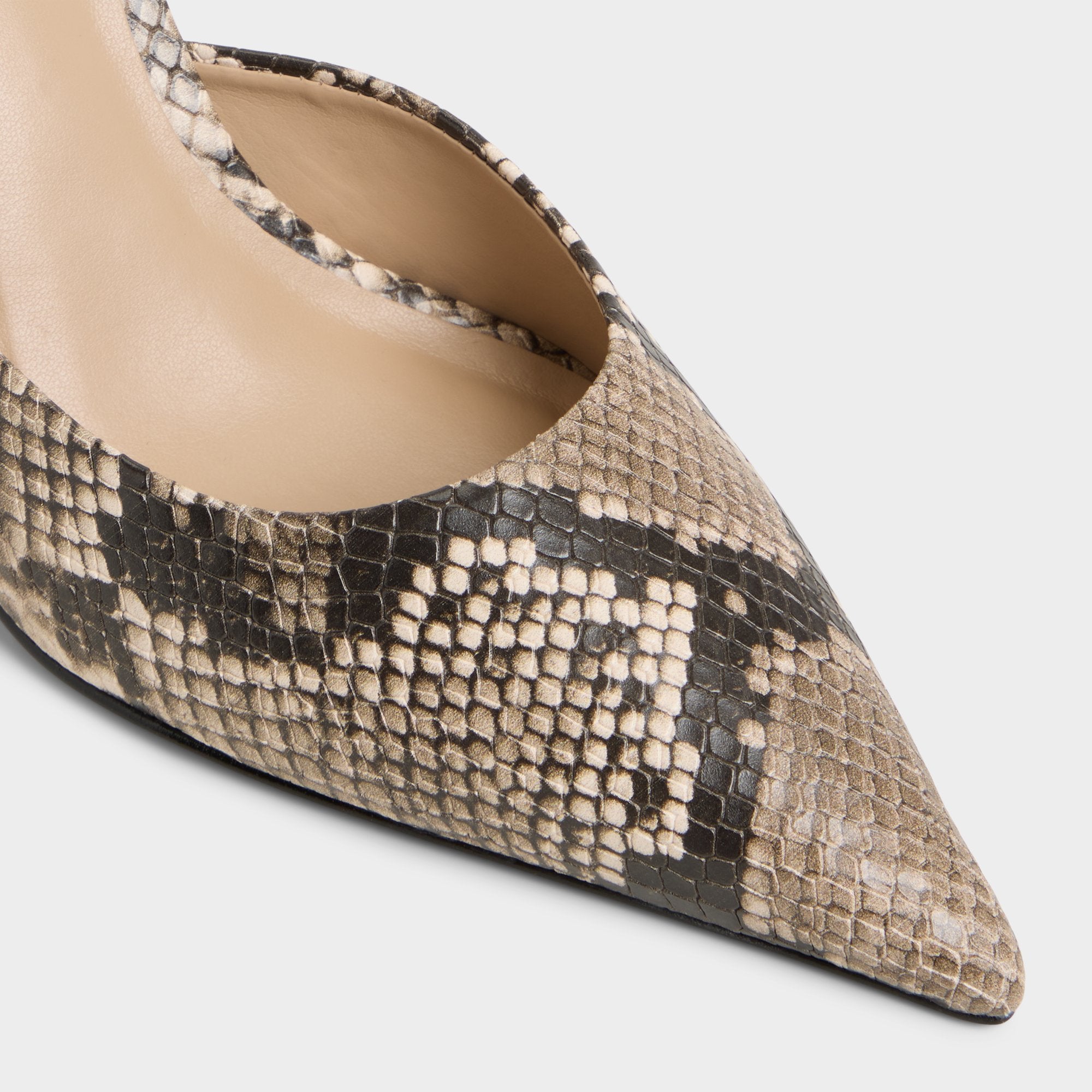 Beatrixy Python Women's Heeled mules - Heeled mule, Stiletto heel | Aldo on sale