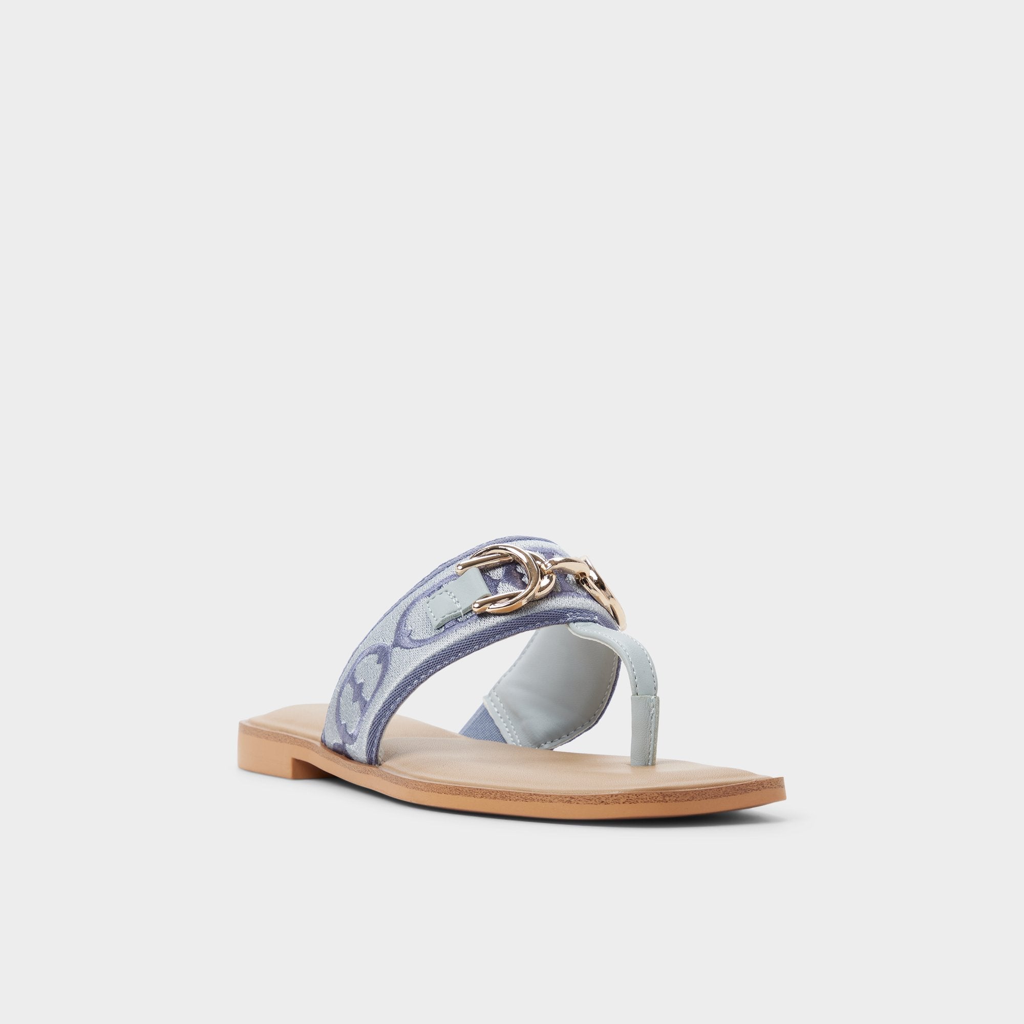 Coralynna in Other Blue - T-strap sandal | Aldo online