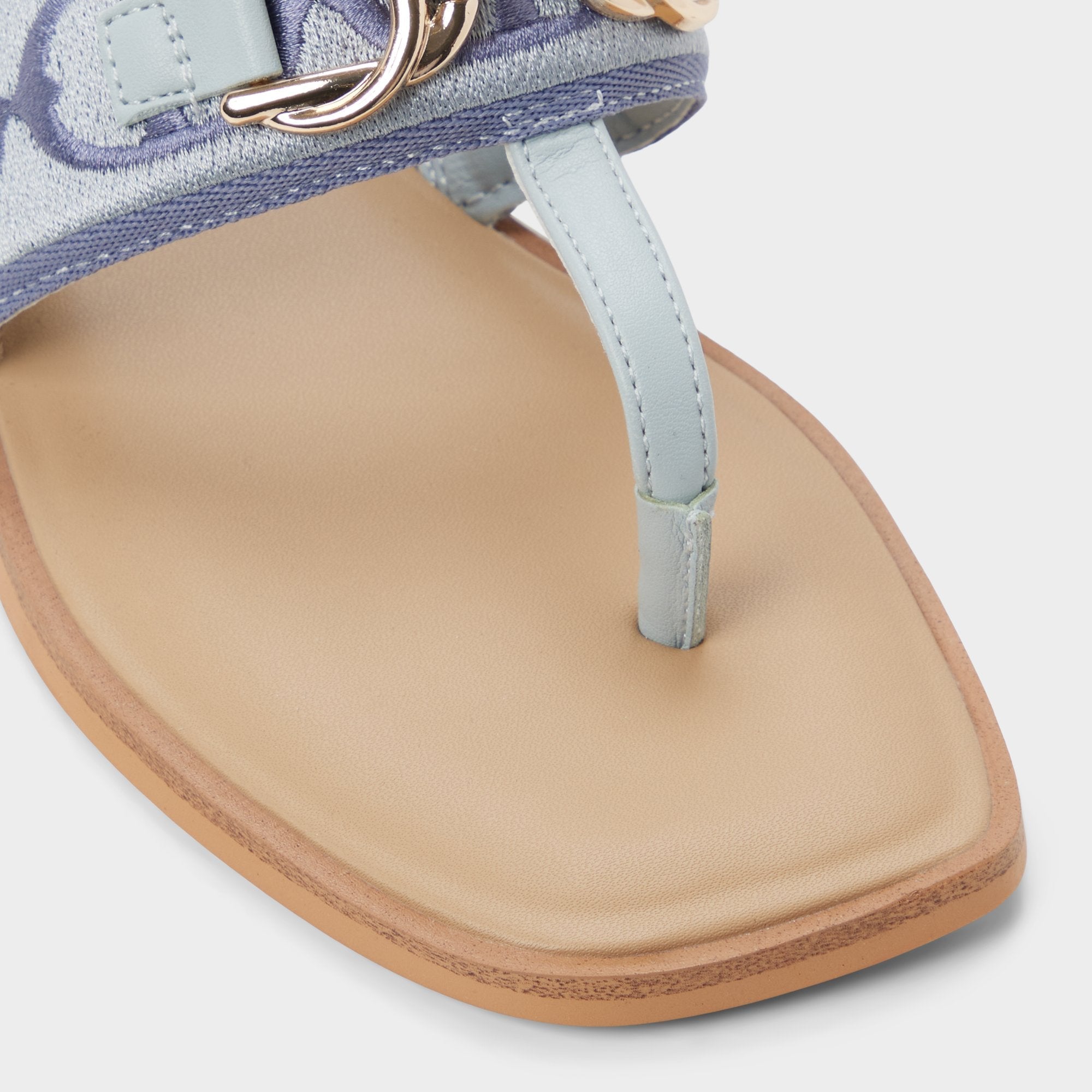 Coralynna in Other Blue - T-strap sandal | Aldo online