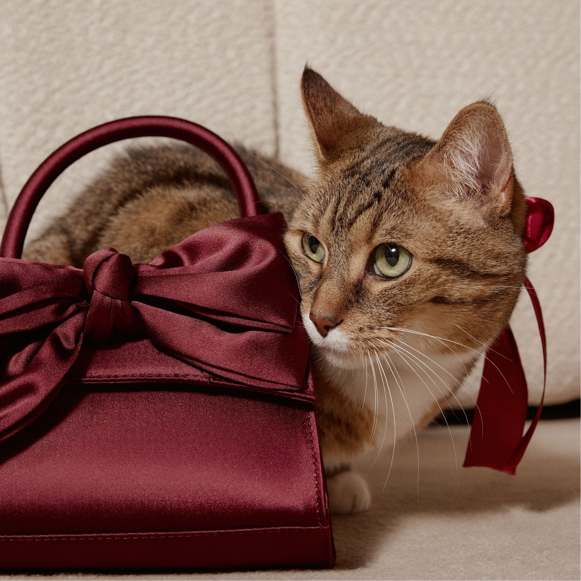 Decadencee in Dark Red - Top handle bag | Aldo discount