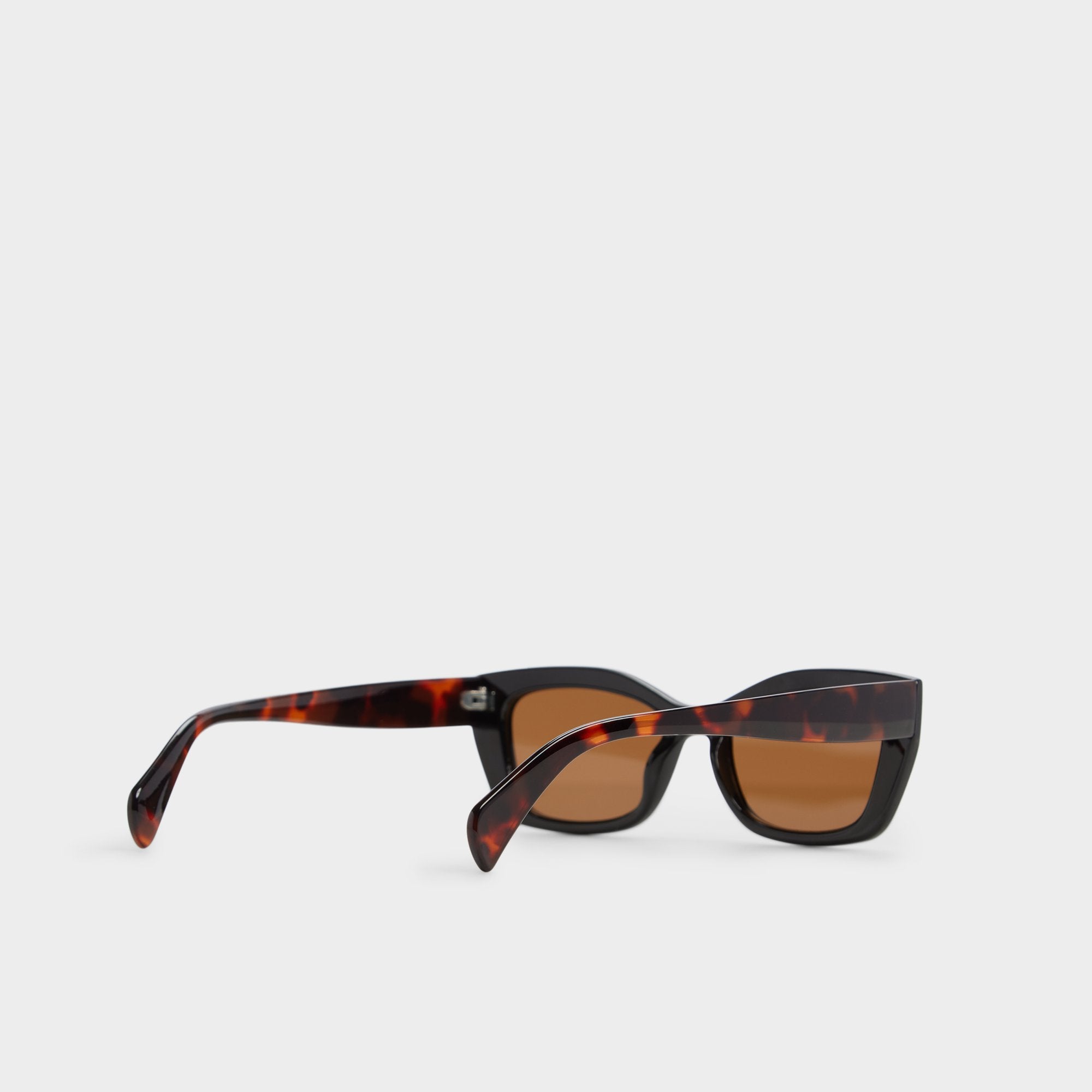 Calaberynx Black Women's Cat eye - Cat eye sunglasses | Aldo online