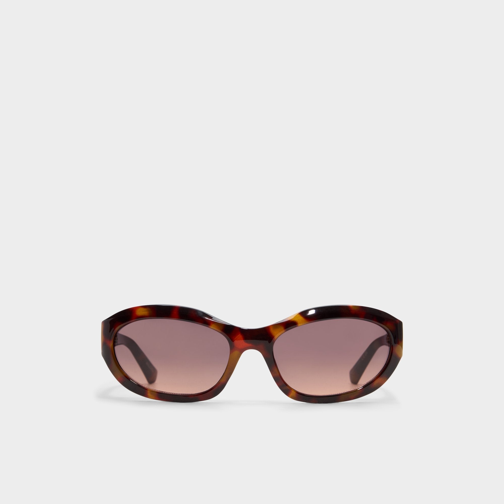 Edien Other Brown Women's Sunglasses - Sunglasses | Aldo online
