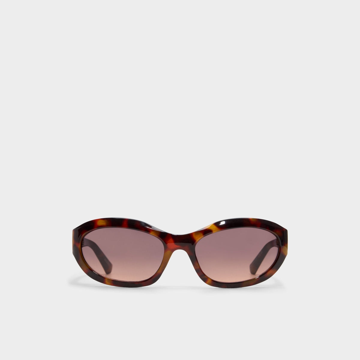 Edien Other Brown Women's Sunglasses - Sunglasses | Aldo online