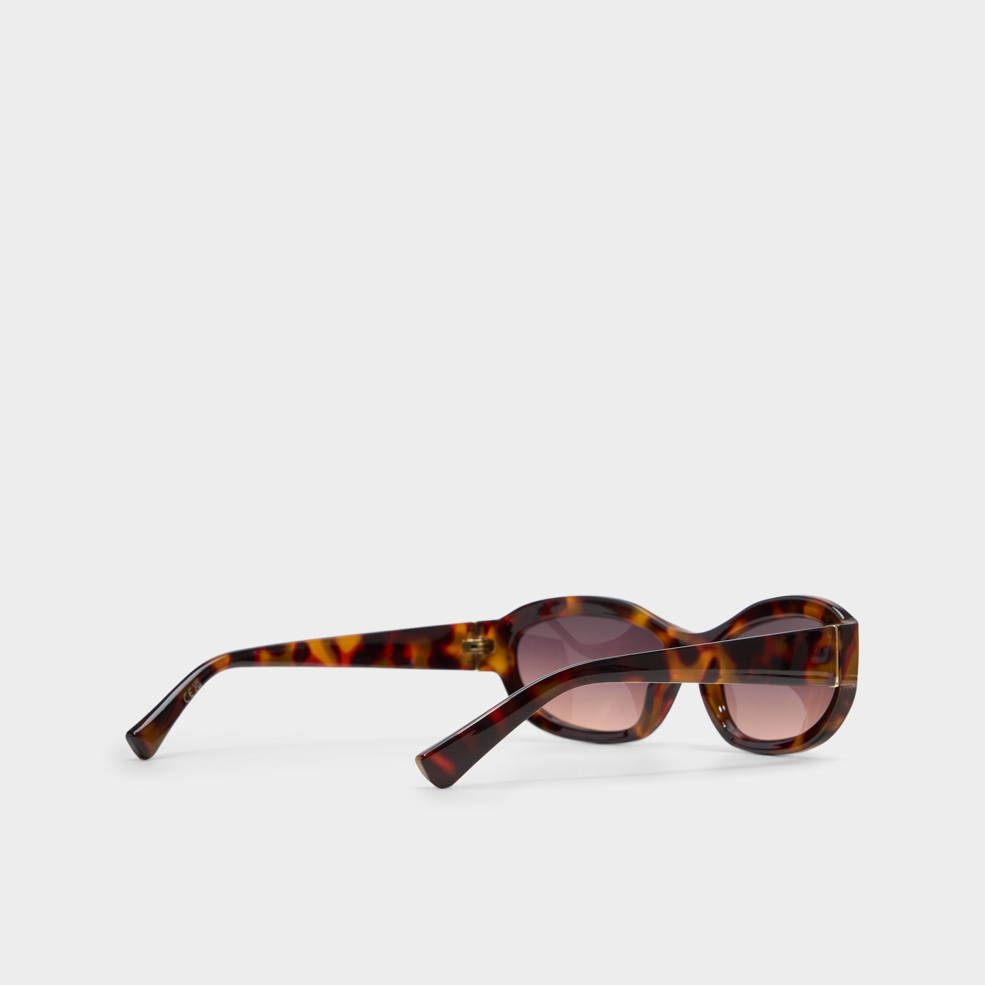 Edien Other Brown Women's Sunglasses - Sunglasses | Aldo online