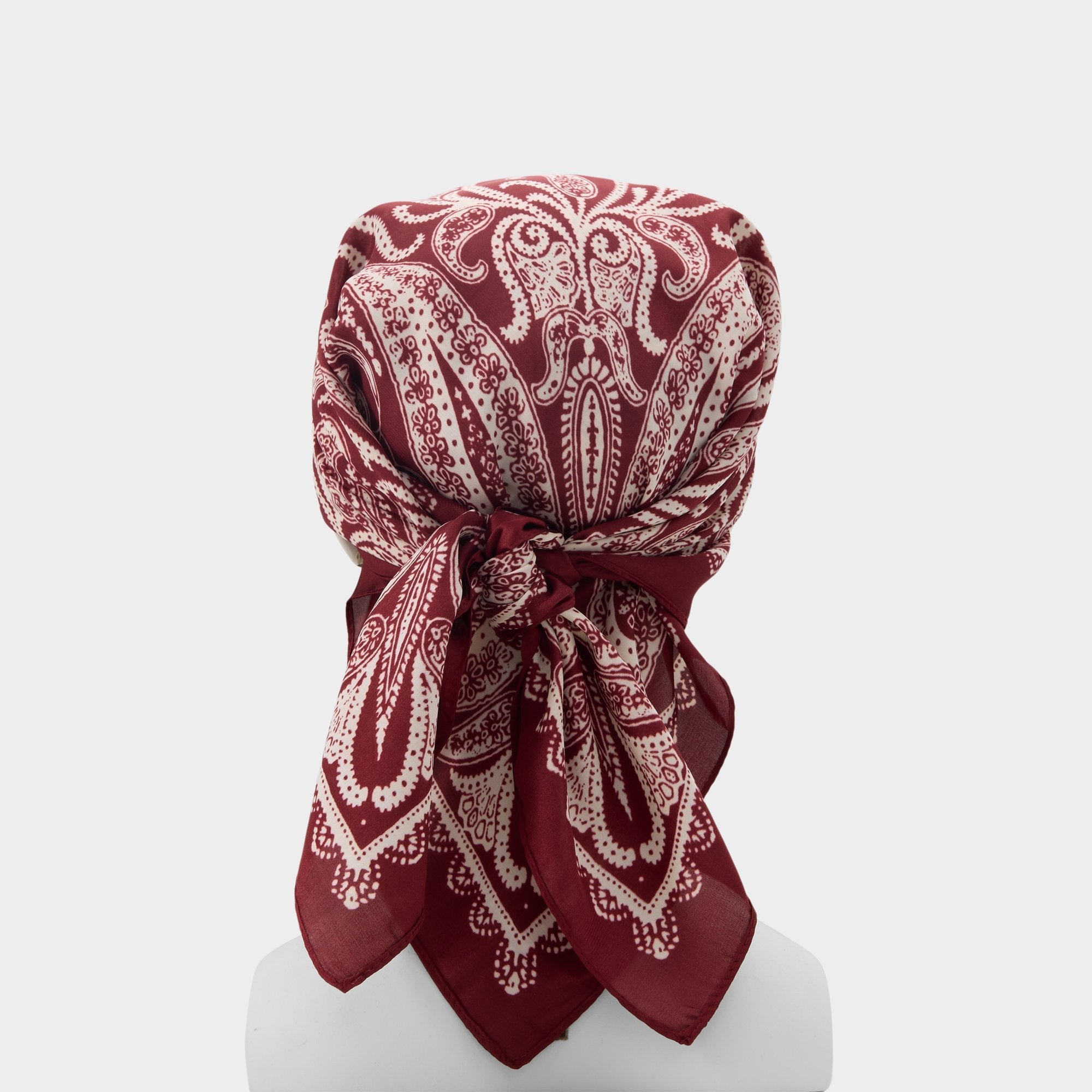 Bernadete Bordo Women's Scarves - Scarf | Aldo outlet