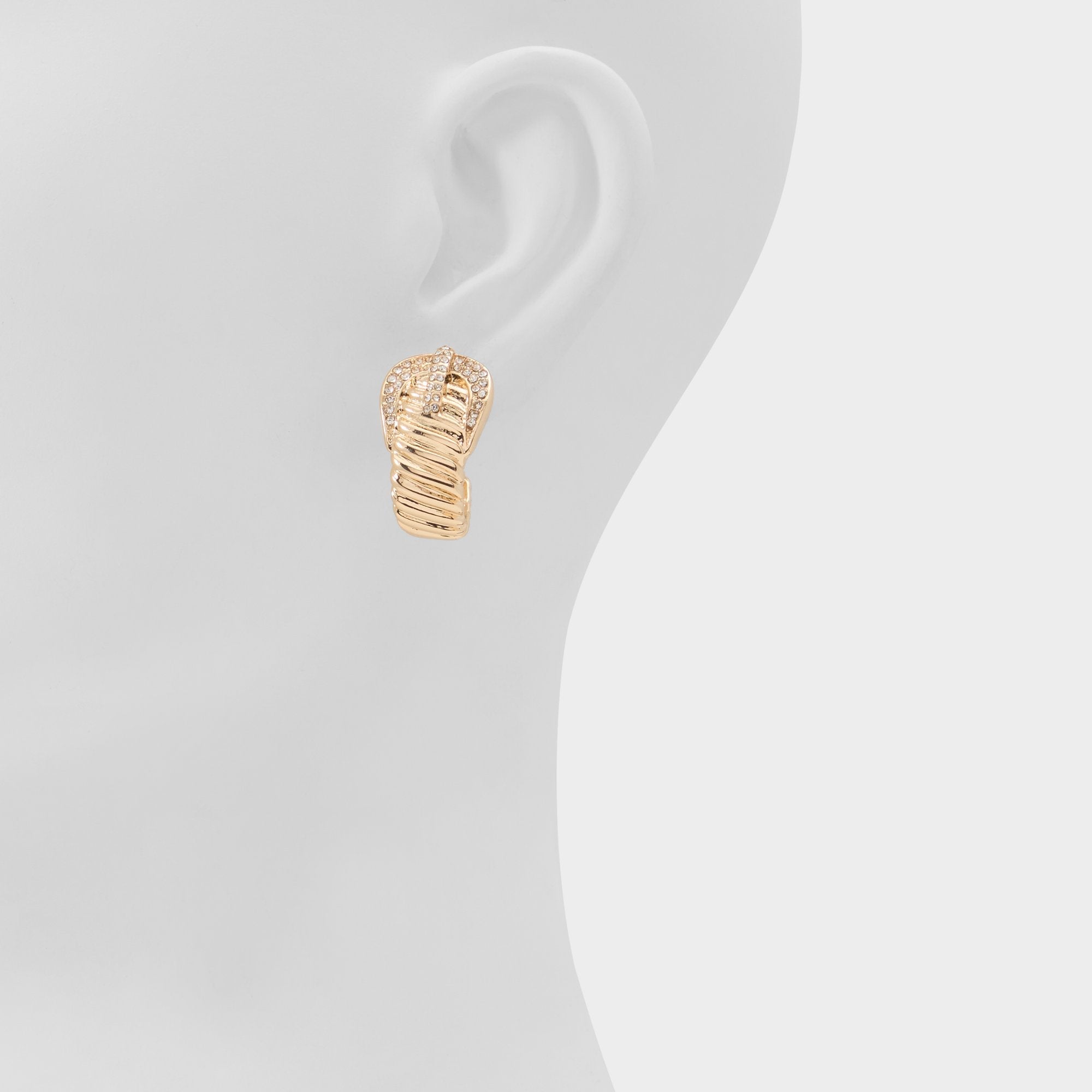 Cintura in Gold Clear Multi - Hoop earrings | Aldo discount