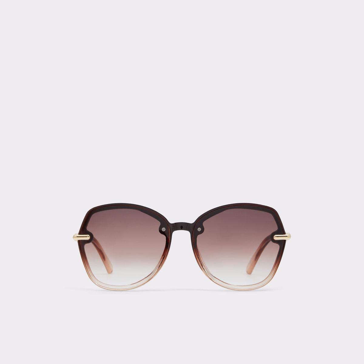 Cortegaca Brown Women's Round - Square sunglasses | Aldo online