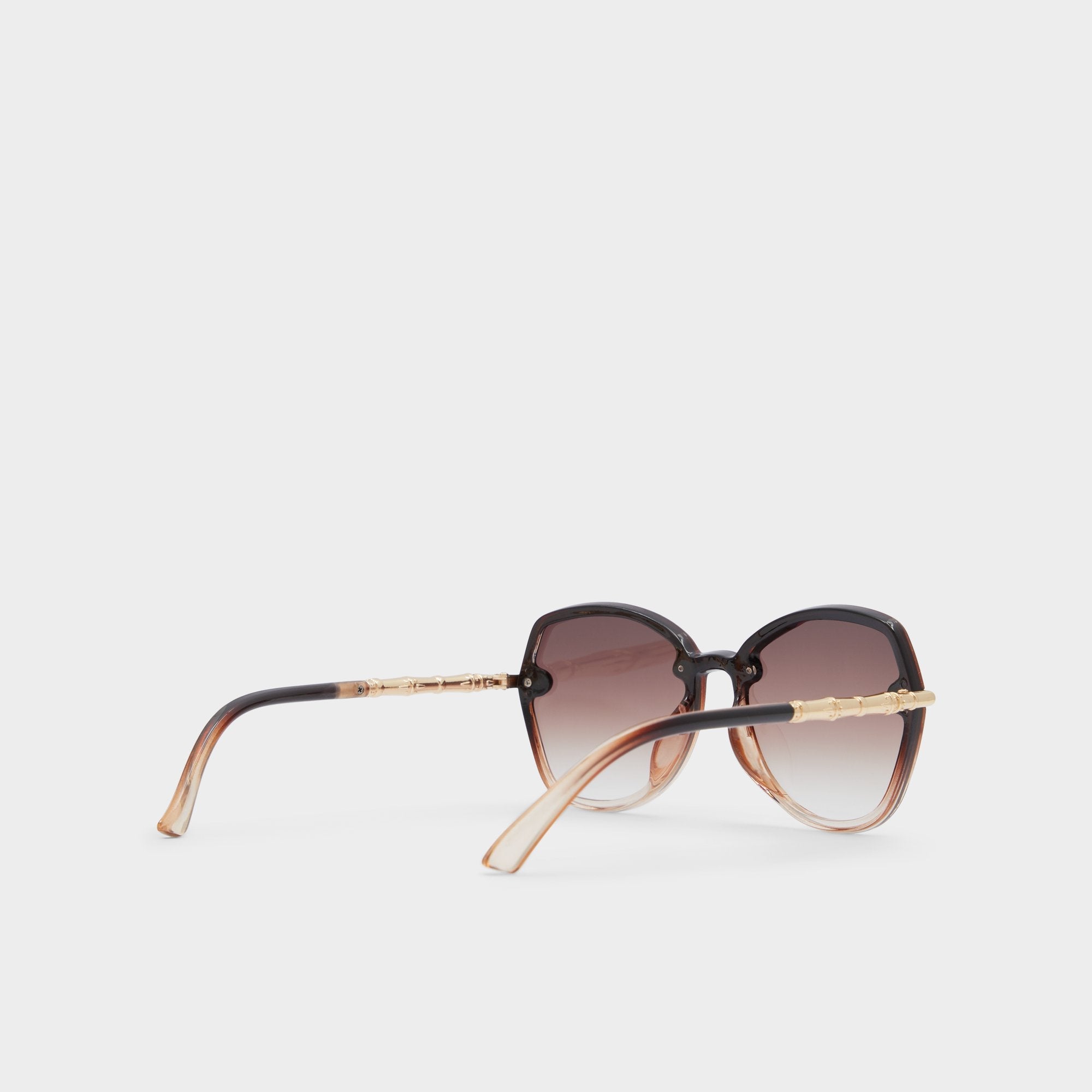 Cortegaca Brown Women's Round - Square sunglasses | Aldo online