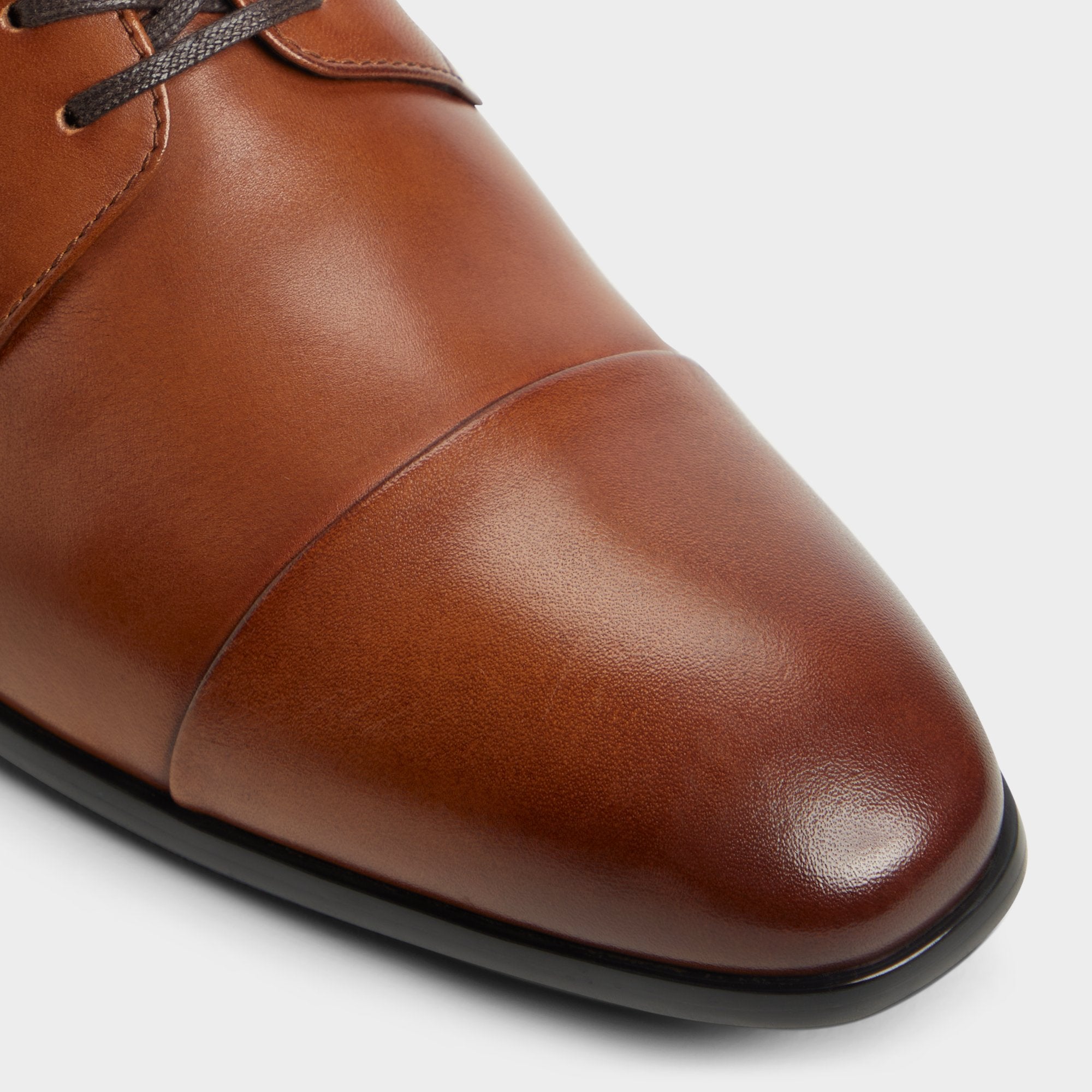 Daniells in Cognac - Derby shoe | Aldo online
