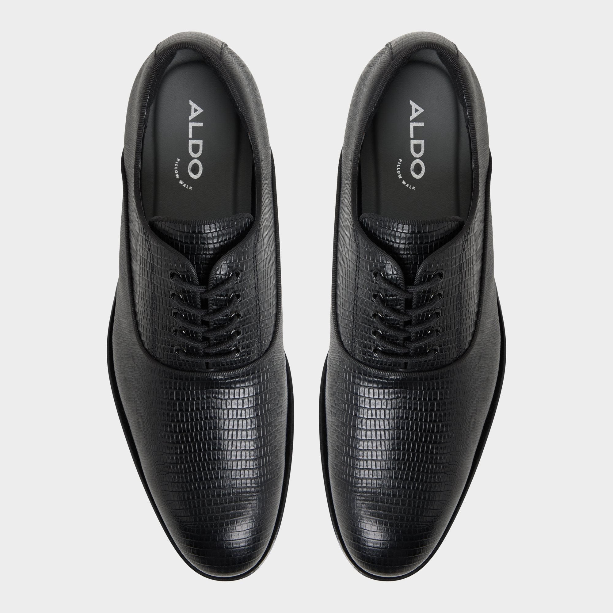 Braz in Other Black 14161936 - Oxford shoe | Aldo online