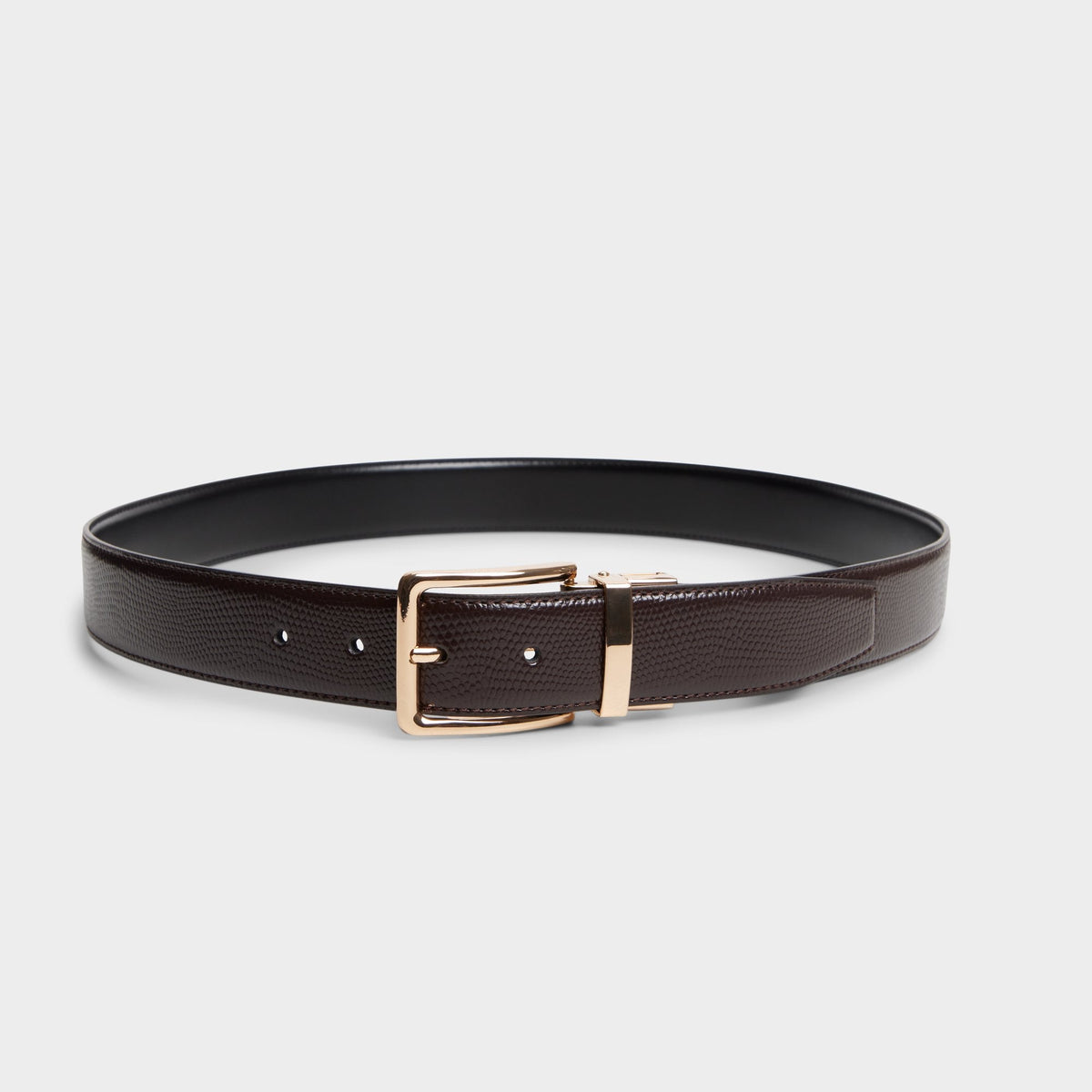 Nicholas in Dark Brown - Belt | Aldo outlet